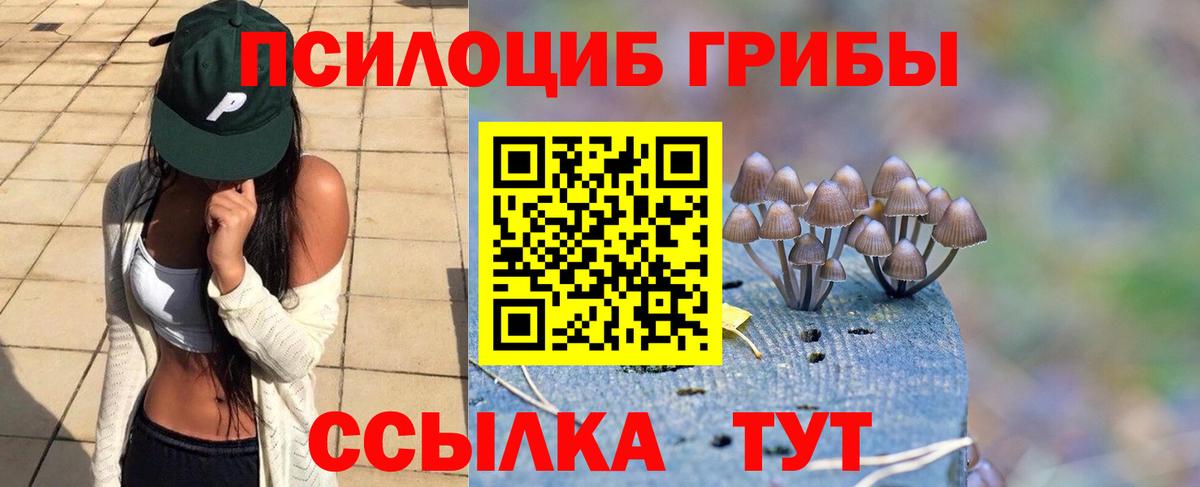 Псилоцибиновые грибы MAGIC MUSHROOMS Сердобск