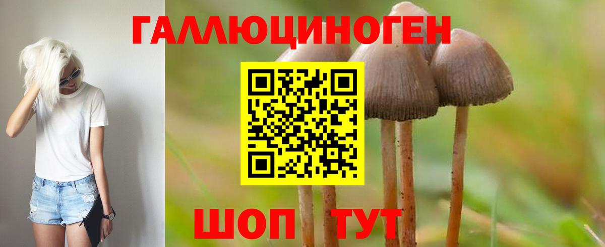 купить  сайты  Вход с VPN  Сердобск  Галлюциногенные грибы MAGIC MUSHROOMS 